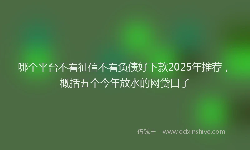 哪个平台不看征信不看负债好下款2025年推荐，概括五个今年放水的网贷口子