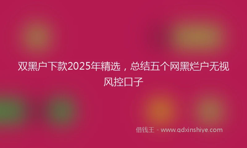 双黑户下款2025年精选，总结五个网黑烂户无视风控口子