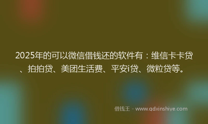 2025年的可以微信借钱还的软件有：维信卡卡贷、拍拍贷、美团生活费、平安i贷、微粒贷等。