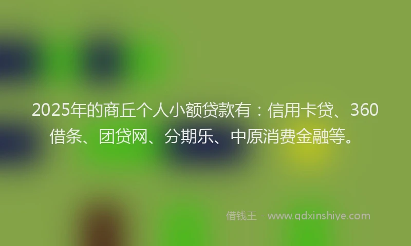 2025年的商丘个人小额贷款有：信用卡贷、360借条、团贷网、分期乐、中原消费金融等。