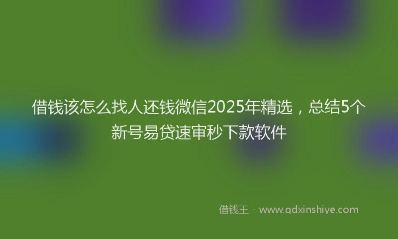 借钱该怎么找人还钱微信2025年精选，总结5个新号易贷速审秒下款软件