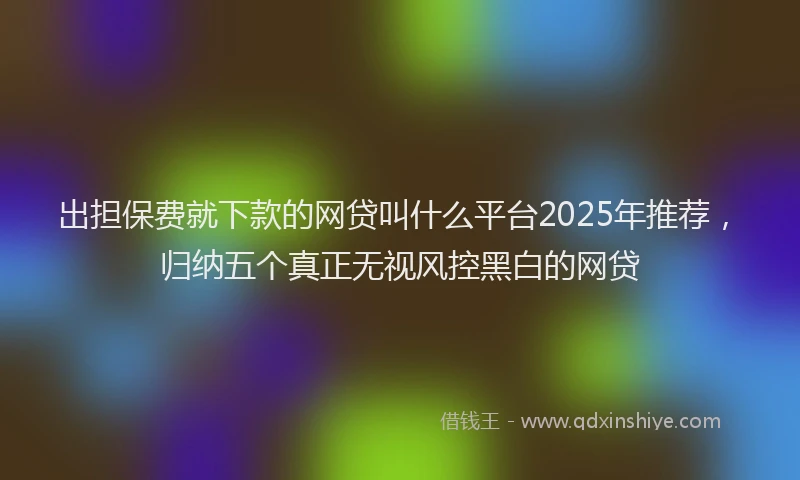 出担保费就下款的网贷叫什么平台2025年推荐，归纳五个真正无视风控黑白的网贷