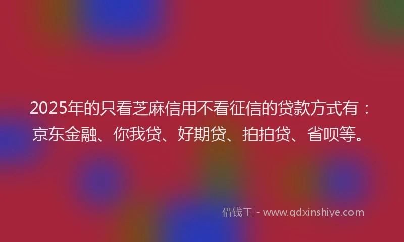 2025年的只看芝麻信用不看征信的贷款方式有：京东金融、你我贷、好期贷、拍拍贷、省呗等。