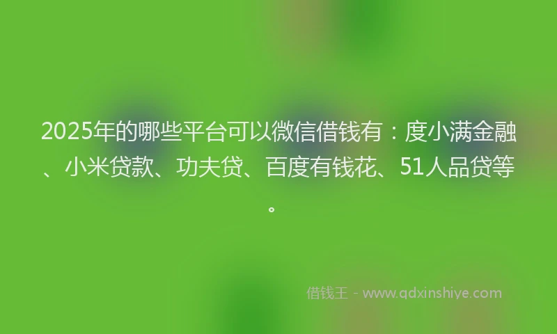 2025年的哪些平台可以微信借钱有：度小满金融、小米贷款、功夫贷、百度有钱花、51人品贷等。