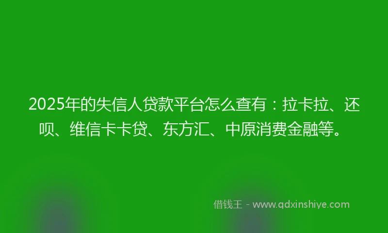 2025年的失信人贷款平台怎么查有：拉卡拉、还呗、维信卡卡贷、东方汇、中原消费金融等。
