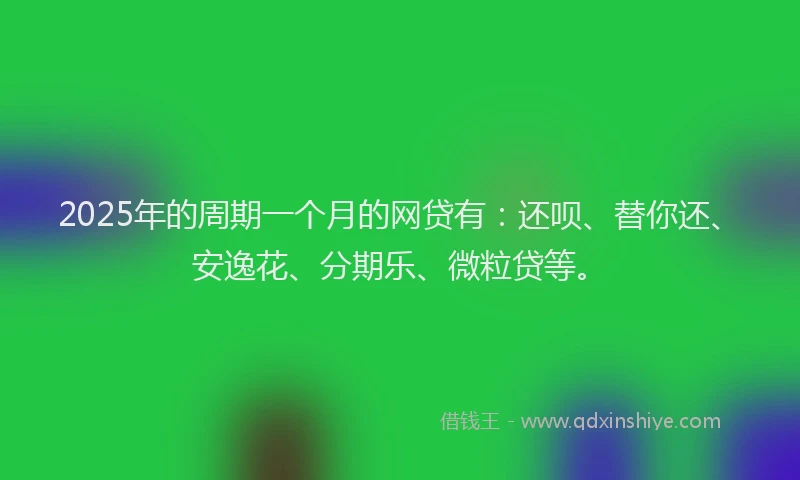 2025年的周期一个月的网贷有：还呗、替你还、安逸花、分期乐、微粒贷等。