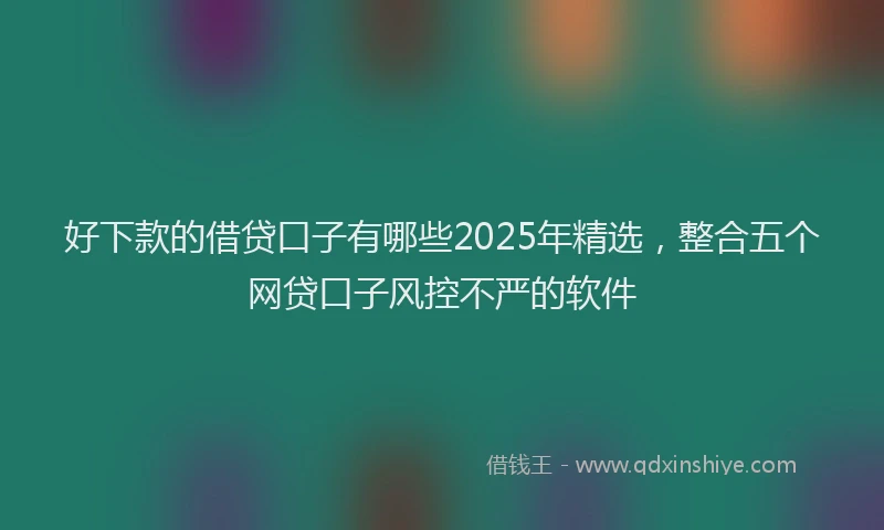 好下款的借贷口子有哪些2025年精选，整合五个网贷口子风控不严的软件