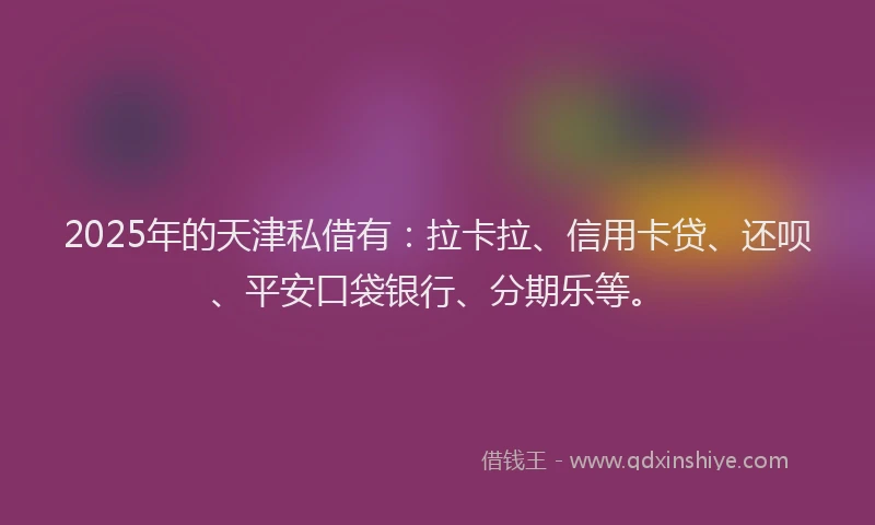 2025年的天津私借有：拉卡拉、信用卡贷、还呗、平安口袋银行、分期乐等。