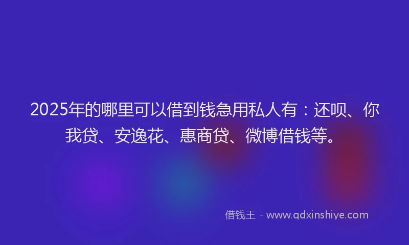 2025年的哪里可以借到钱急用私人有：还呗、你我贷、安逸花、惠商贷、微博借钱等。