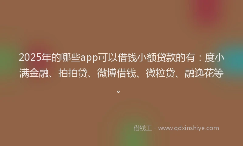 2025年的哪些app可以借钱小额贷款的有：度小满金融、拍拍贷、微博借钱、微粒贷、融逸花等。