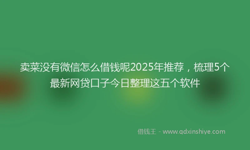 卖菜没有微信怎么借钱呢2025年推荐，梳理5个最新网贷口子今日整理这五个软件