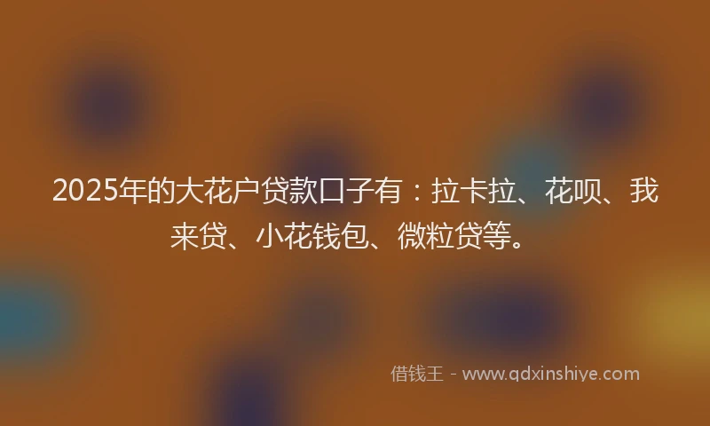 2025年的大花户贷款口子有：拉卡拉、花呗、我来贷、小花钱包、微粒贷等。