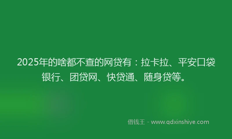 2025年的啥都不查的网贷有：拉卡拉、平安口袋银行、团贷网、快贷通、随身贷等。
