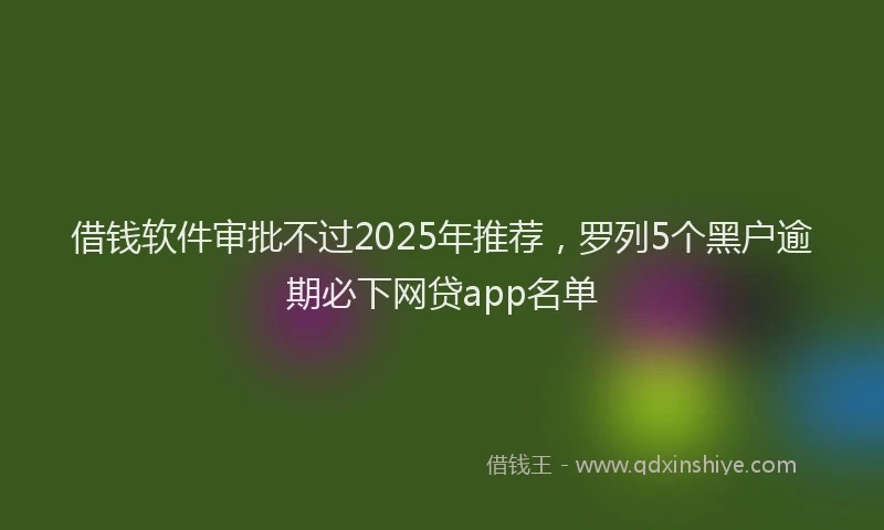 借钱软件审批不过2025年推荐，罗列5个黑户逾期必下网贷app名单