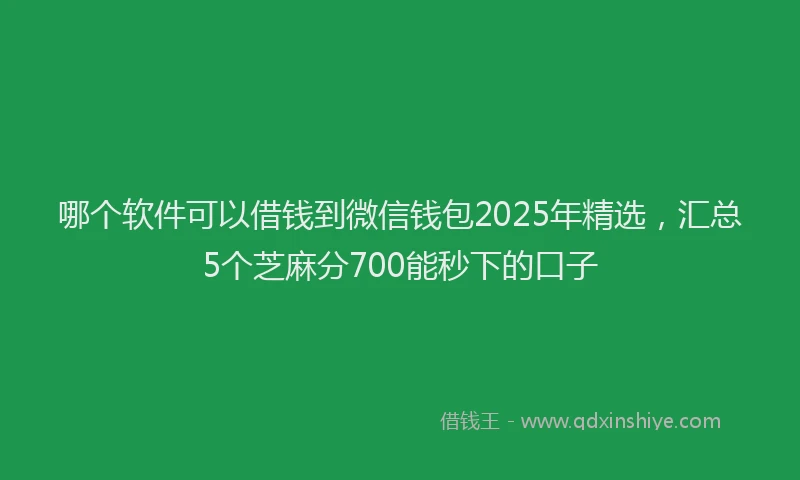 哪个软件可以借钱到微信钱包2025年精选，汇总5个芝麻分700能秒下的口子