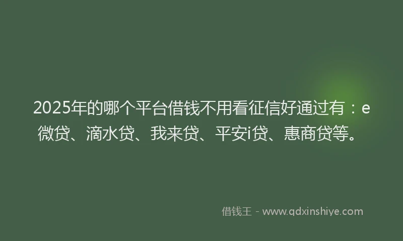 2025年的哪个平台借钱不用看征信好通过有：e微贷、滴水贷、我来贷、平安i贷、惠商贷等。