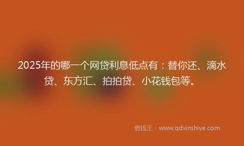 2025年的哪一个网贷利息低点有：替你还、滴水贷、东方汇、拍拍贷、小花钱包等。