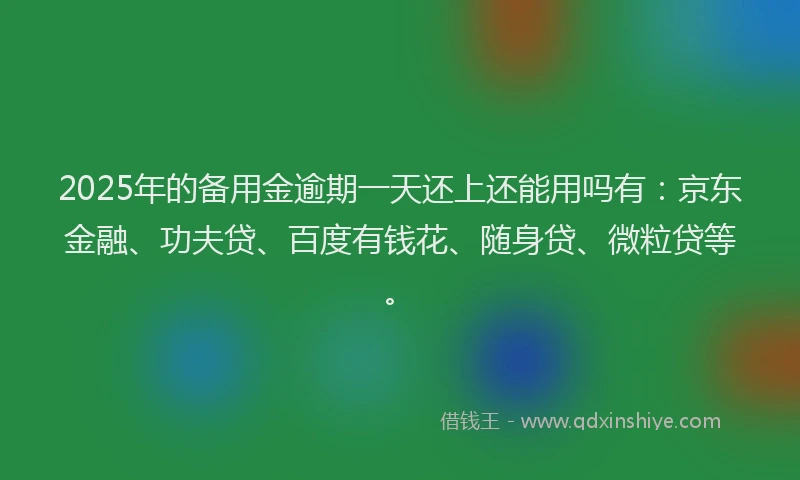 2025年的备用金逾期一天还上还能用吗有：京东金融、功夫贷、百度有钱花、随身贷、微粒贷等。