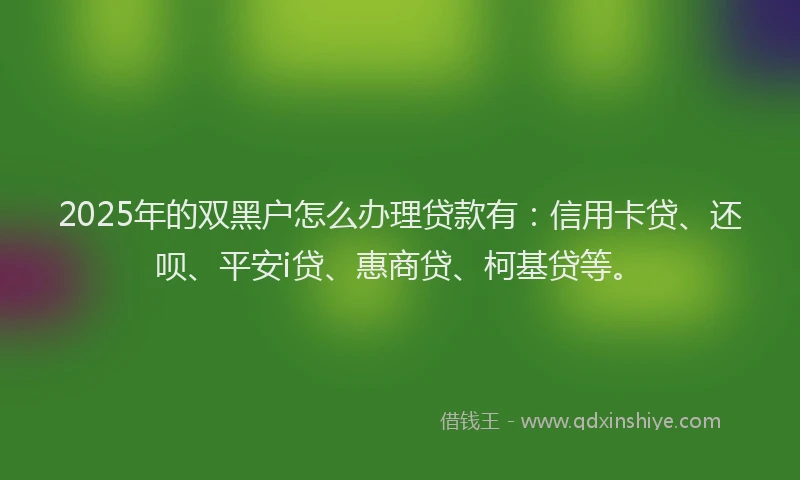 2025年的双黑户怎么办理贷款有：信用卡贷、还呗、平安i贷、惠商贷、柯基贷等。