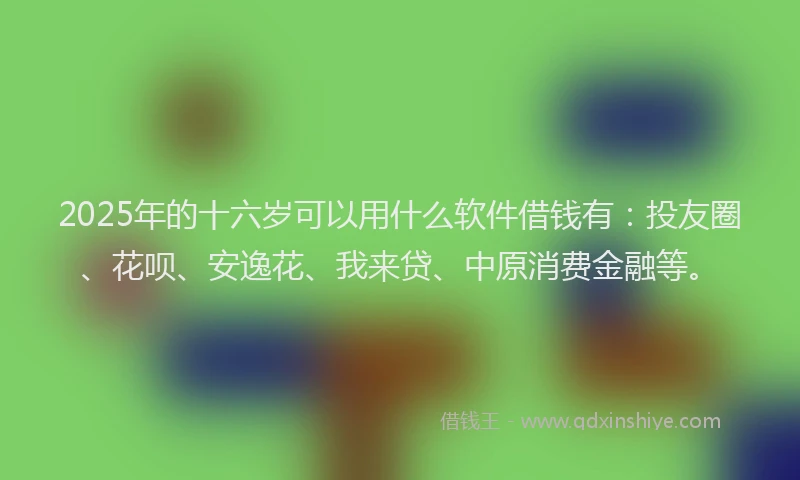 2025年的十六岁可以用什么软件借钱有：投友圈、花呗、安逸花、我来贷、中原消费金融等。