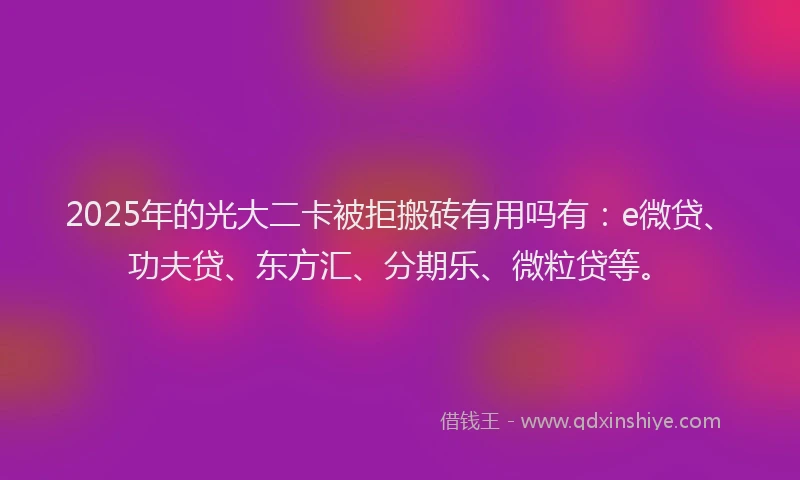 2025年的光大二卡被拒搬砖有用吗有：e微贷、功夫贷、东方汇、分期乐、微粒贷等。