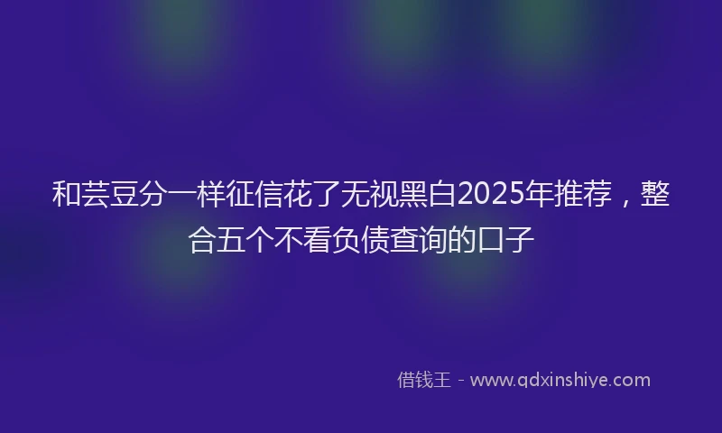 和芸豆分一样征信花了无视黑白2025年推荐，整合五个不看负债查询的口子