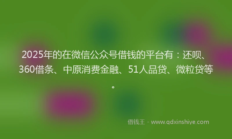 2025年的在微信公众号借钱的平台有：还呗、360借条、中原消费金融、51人品贷、微粒贷等。