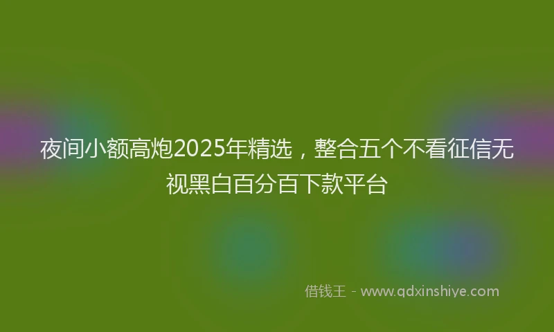 夜间小额高炮2025年精选，整合五个不看征信无视黑白百分百下款平台
