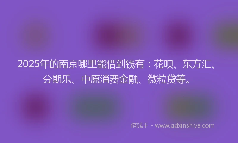 2025年的南京哪里能借到钱有：花呗、东方汇、分期乐、中原消费金融、微粒贷等。