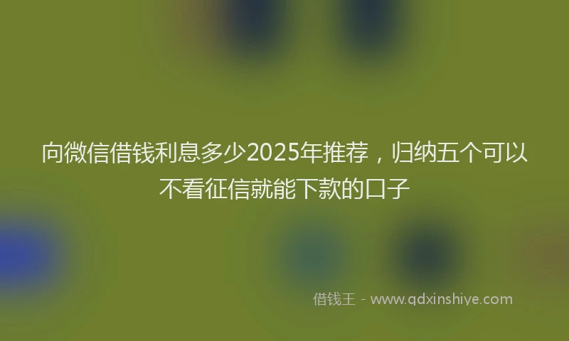 向微信借钱利息多少2025年推荐，归纳五个可以不看征信就能下款的口子
