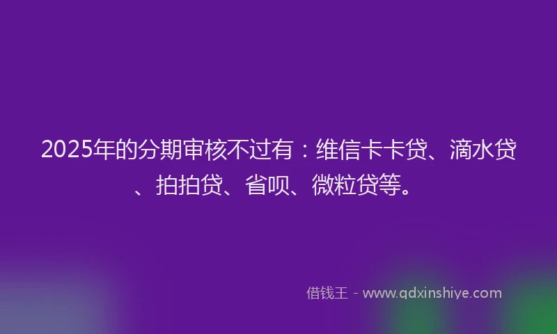 2025年的分期审核不过有：维信卡卡贷、滴水贷、拍拍贷、省呗、微粒贷等。