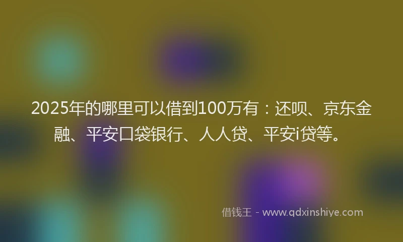 2025年的哪里可以借到100万有：还呗、京东金融、平安口袋银行、人人贷、平安i贷等。