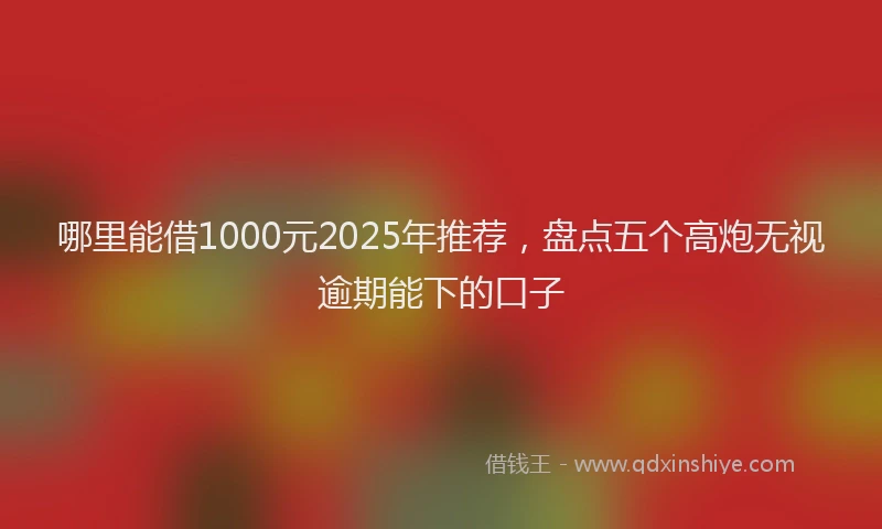 哪里能借1000元2025年推荐，盘点五个高炮无视逾期能下的口子