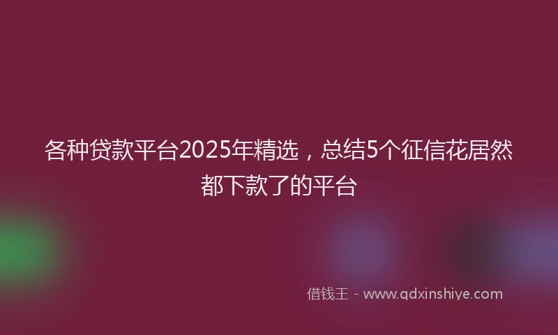 各种贷款平台2025年精选，总结5个征信花居然都下款了的平台