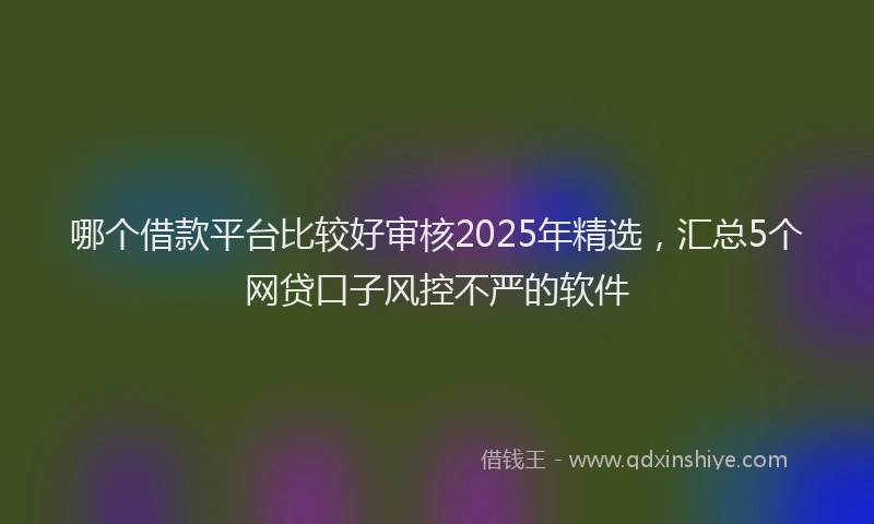 哪个借款平台比较好审核2025年精选，汇总5个网贷口子风控不严的软件