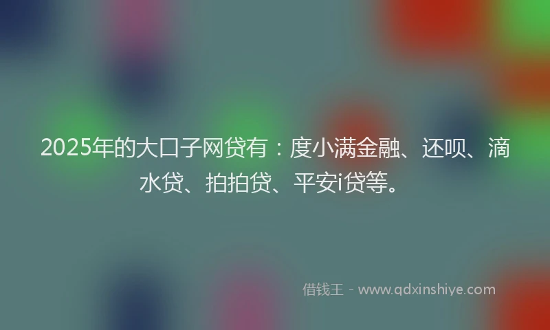 2025年的大口子网贷有：度小满金融、还呗、滴水贷、拍拍贷、平安i贷等。