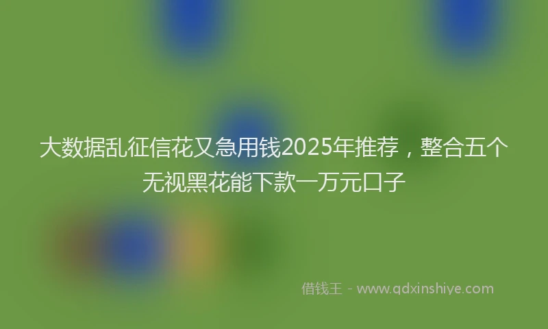 大数据乱征信花又急用钱2025年推荐，整合五个无视黑花能下款一万元口子