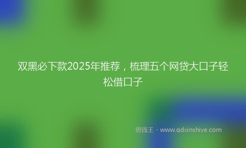 双黑必下款2025年推荐，梳理五个网贷大口子轻松借口子