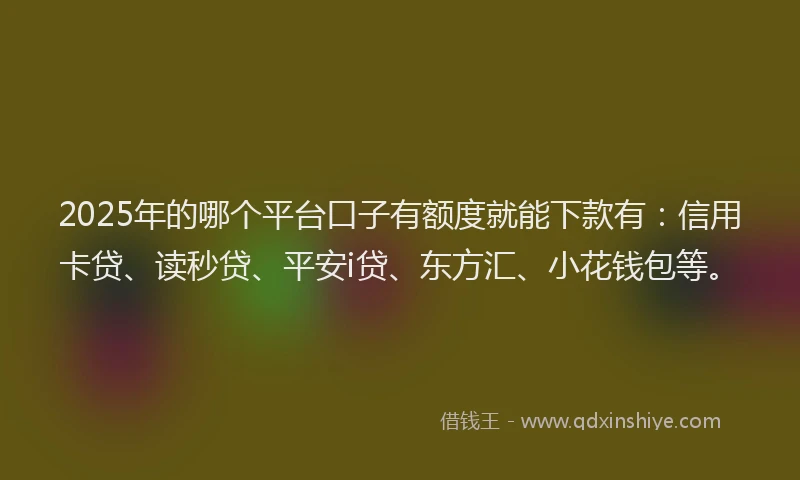 2025年的哪个平台口子有额度就能下款有：信用卡贷、读秒贷、平安i贷、东方汇、小花钱包等。