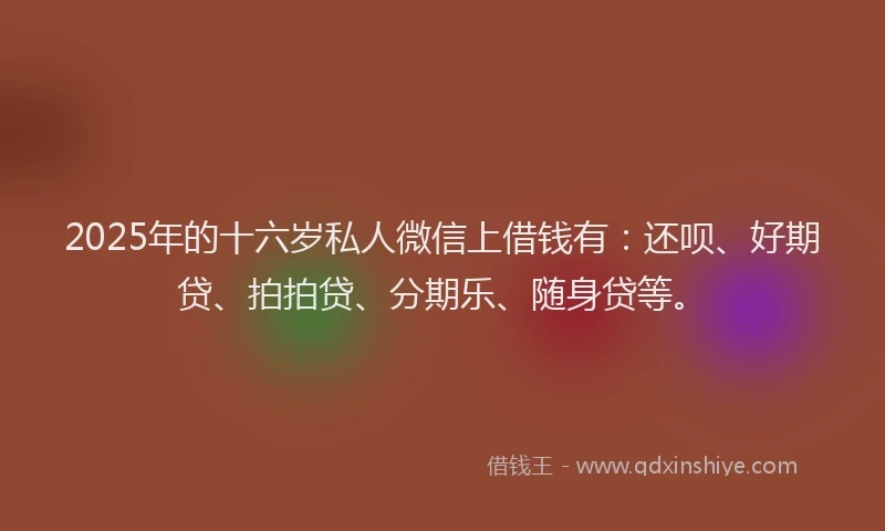 2025年的十六岁私人微信上借钱有：还呗、好期贷、拍拍贷、分期乐、随身贷等。