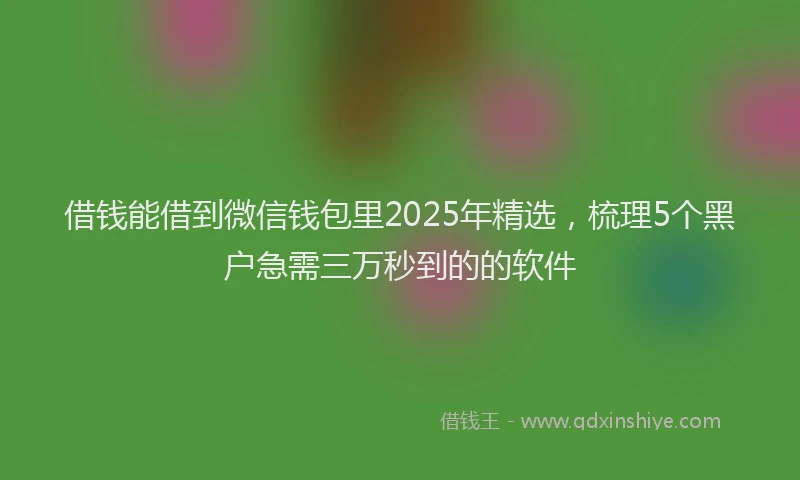 借钱能借到微信钱包里2025年精选，梳理5个黑户急需三万秒到的的软件