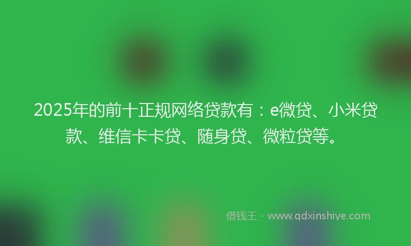 2025年的前十正规网络贷款有：e微贷、小米贷款、维信卡卡贷、随身贷、微粒贷等。