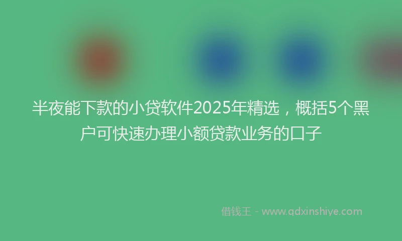 半夜能下款的小贷软件2025年精选，概括5个黑户可快速办理小额贷款业务的口子