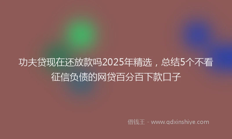 功夫贷现在还放款吗2025年精选，总结5个不看征信负债的网贷百分百下款口子