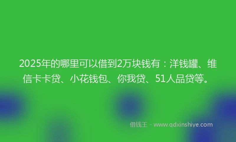 2025年的哪里可以借到2万块钱有：洋钱罐、维信卡卡贷、小花钱包、你我贷、51人品贷等。