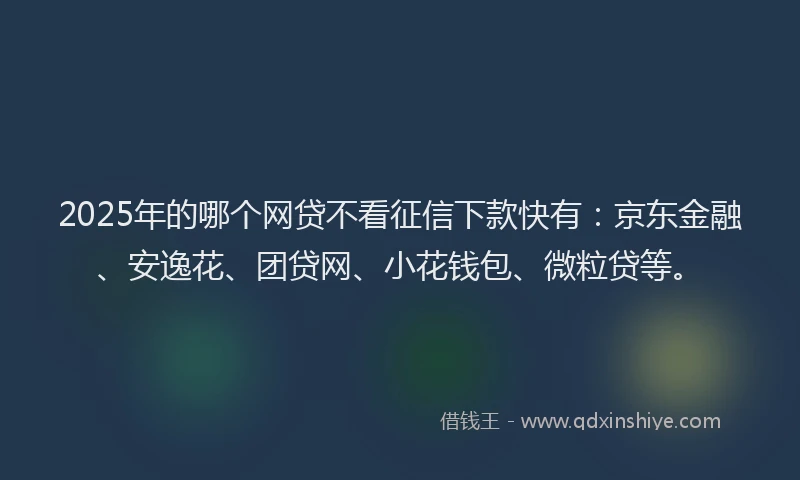 2025年的哪个网贷不看征信下款快有：京东金融、安逸花、团贷网、小花钱包、微粒贷等。