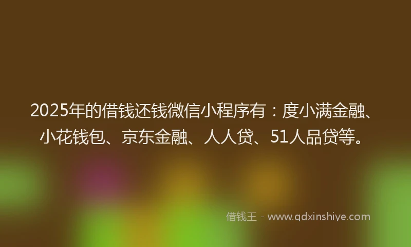 2025年的借钱还钱微信小程序有：度小满金融、小花钱包、京东金融、人人贷、51人品贷等。