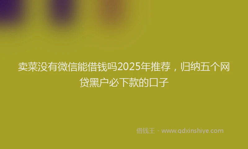 卖菜没有微信能借钱吗2025年推荐，归纳五个网贷黑户必下款的口子