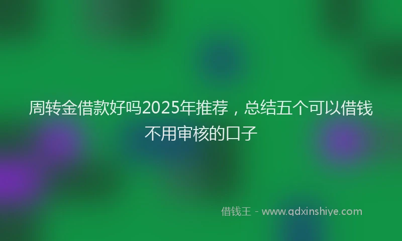 周转金借款好吗2025年推荐，总结五个可以借钱不用审核的口子