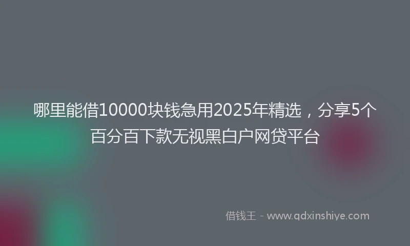 哪里能借10000块钱急用2025年精选，分享5个百分百下款无视黑白户网贷平台